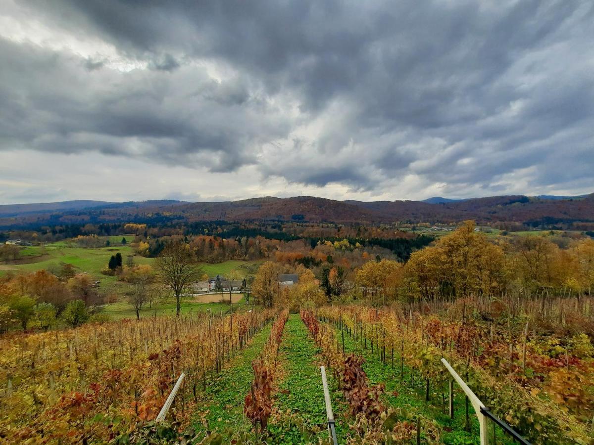 Vineyard Cottage Kulovec Ursna Sela Exterior foto