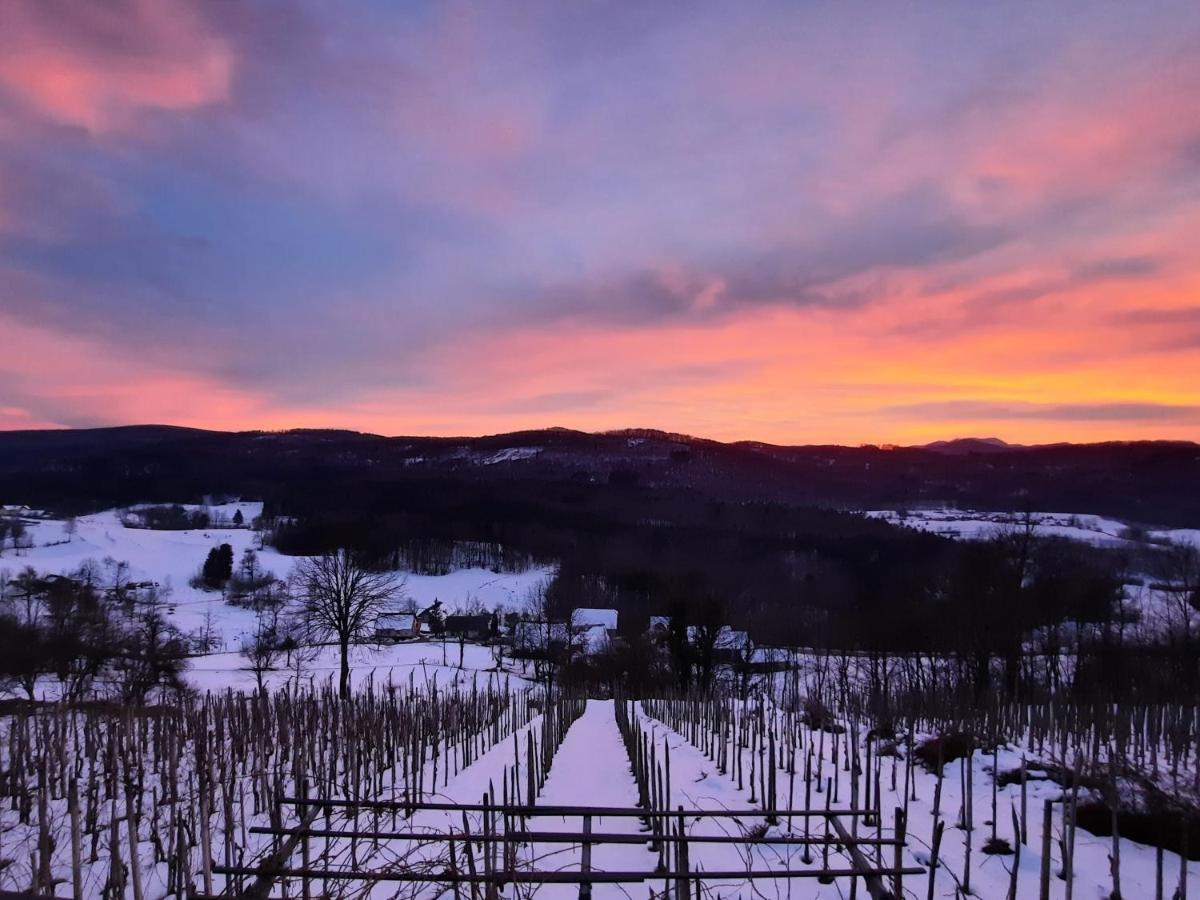 Vineyard Cottage Kulovec Ursna Sela Exterior foto